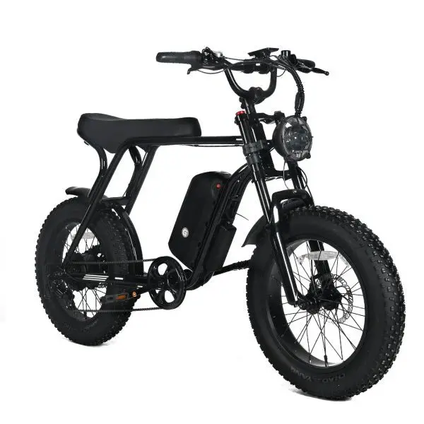 1000W Off-Road Electric Mountain Bike — 48V 20Ah Removable Battery, 45 MPH, 20x4.0 Tires, Shimano 7-Speed