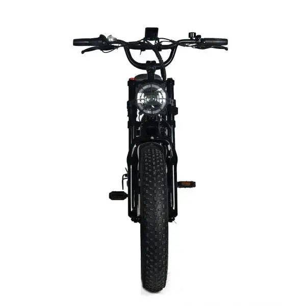 1000W Off-Road Electric Mountain Bike — 48V 20Ah Removable Battery, 45 MPH, 20x4.0 Tires, Shimano 7-Speed 2