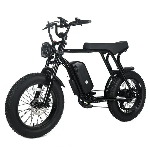 1000W Off-Road Electric Mountain Bike — 48V 20Ah Removable Battery, 45 MPH, 20x4.0 Tires, Shimano 7-Speed