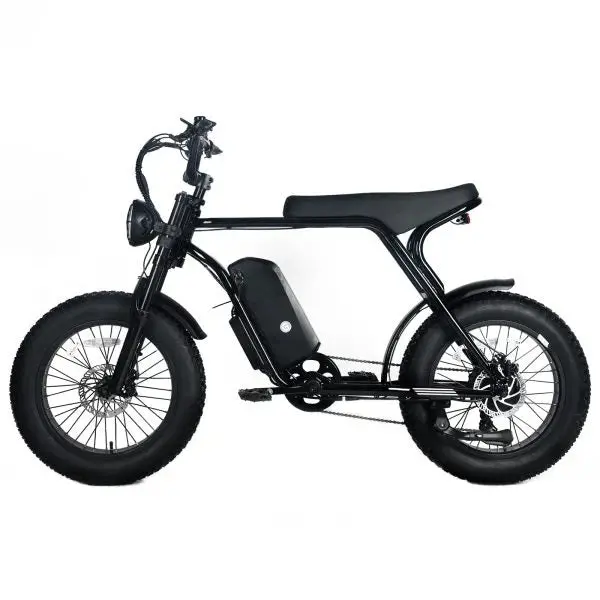 1000W Off-Road Electric Mountain Bike — 48V 20Ah Removable Battery, 45 MPH, 20x4.0 Tires, Shimano 7-Speed