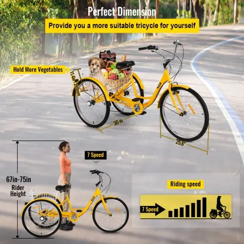 7-Speed Adult Trike Cruiser – 26-Inch 3-Wheel Bicycle with Front Basket & Shopping Features