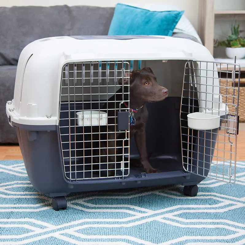 Airline-Compliant Rolling Dog Travel Crate – XXX-Large Hard-Sided Kennel with Wire Door & Smooth-Castor Wheels (Gray)