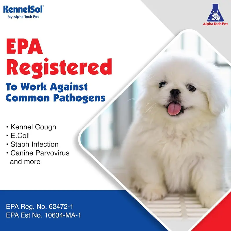 Alpha Tech Pet 1-Step Kennel Cleaner | EPA-Registered Disinfectant & Deodorizer Concentrate | Effective Against Bacteria and Viruses | 5-Gallon Container