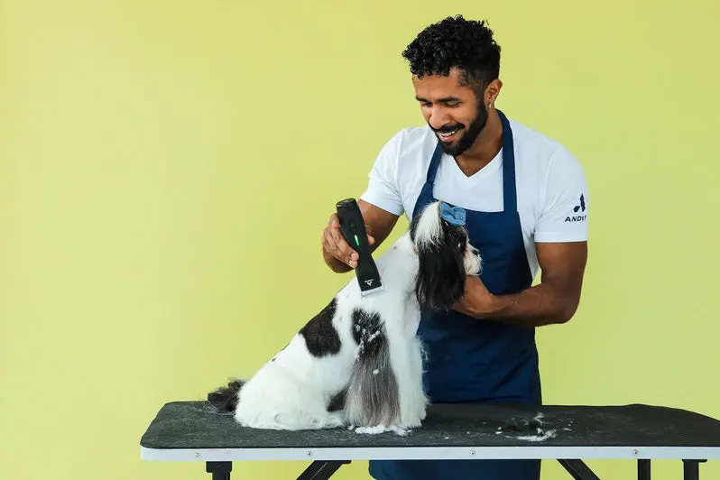 Andis Pulse ZR II Cordless Pet Grooming Clipper – 5-Speed Detachable Blade Tool with Rechargeable Lithium-Ion Battery and LED Charge Indicator