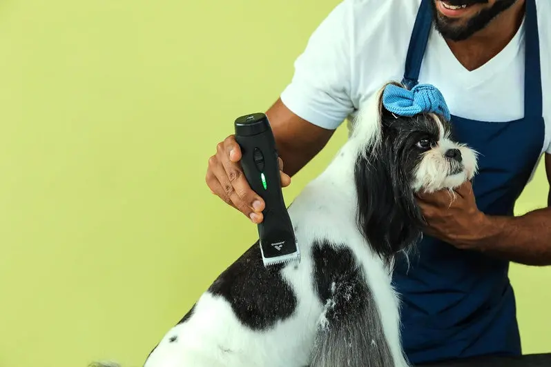 Andis Pulse ZR II Cordless Pet Grooming Clipper – 5-Speed Detachable Blade Tool with Rechargeable Lithium-Ion Battery and LED Charge Indicator