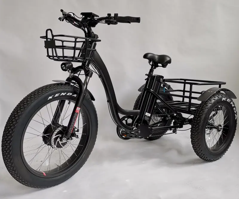BaFang 750W Fat-Tire Electric Trike — All-Terrain Tricycle with Samsung Cells, Dual Suspension System, 350-Pound Weight Capacity