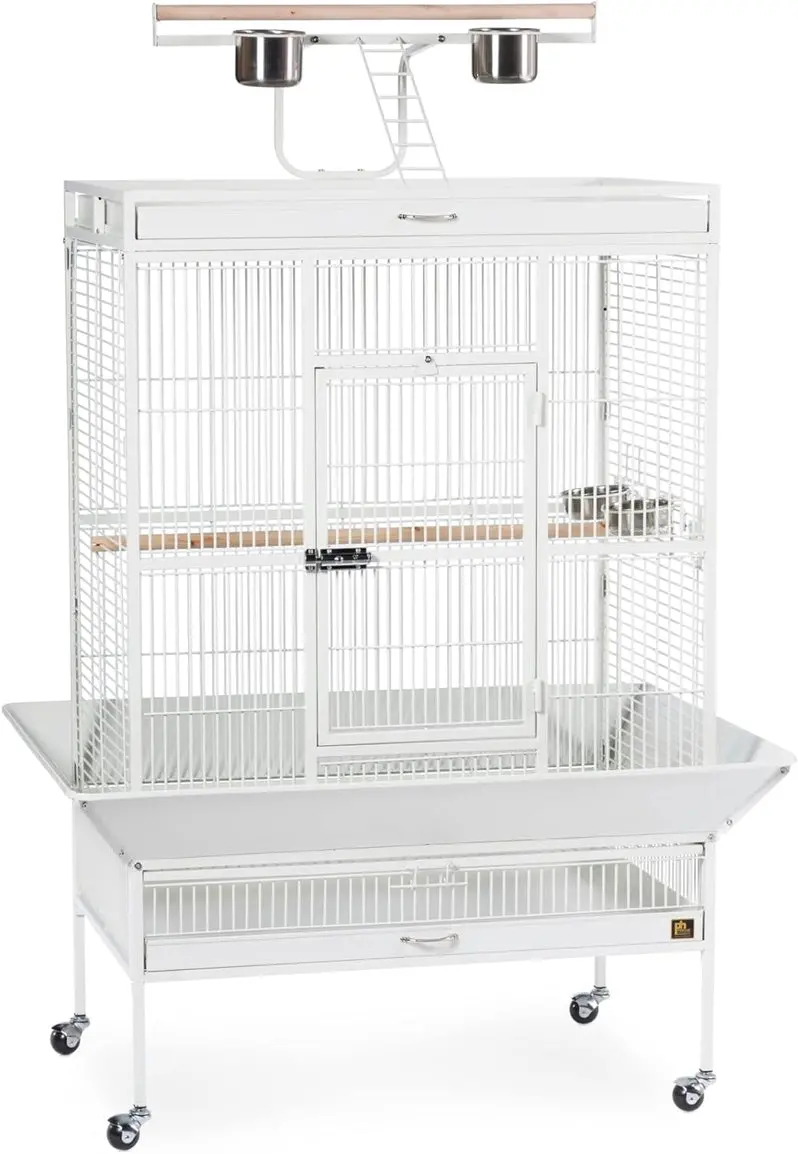 Chalk-White Wrought Iron Bird Cage – 36" x 24" x 66", Model 3154C