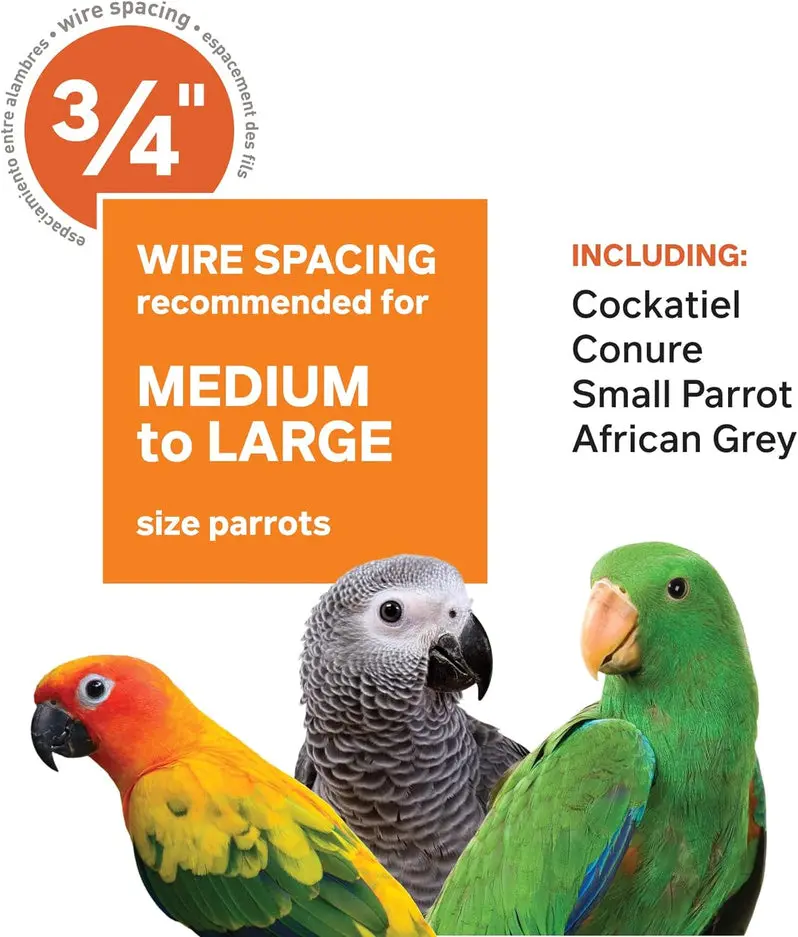 Chalk-White Wrought Iron Bird Cage – 36" x 24" x 66", Model 3154C