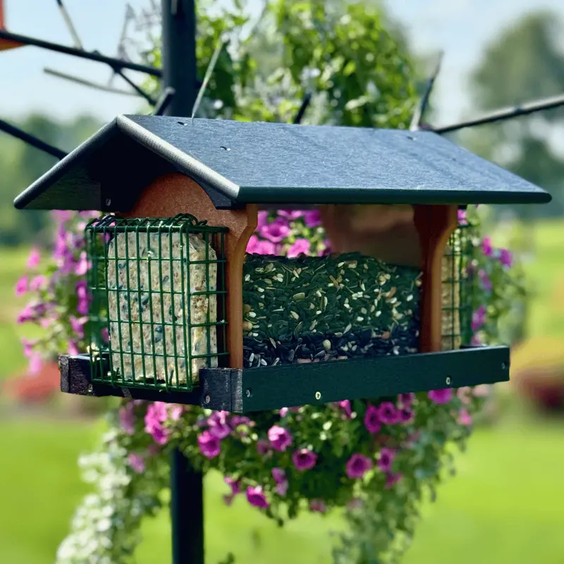 Dual-Chamber Suet and Seed Bird Feeder: Premium Wild Bird Attraction Station with Separate Compartments