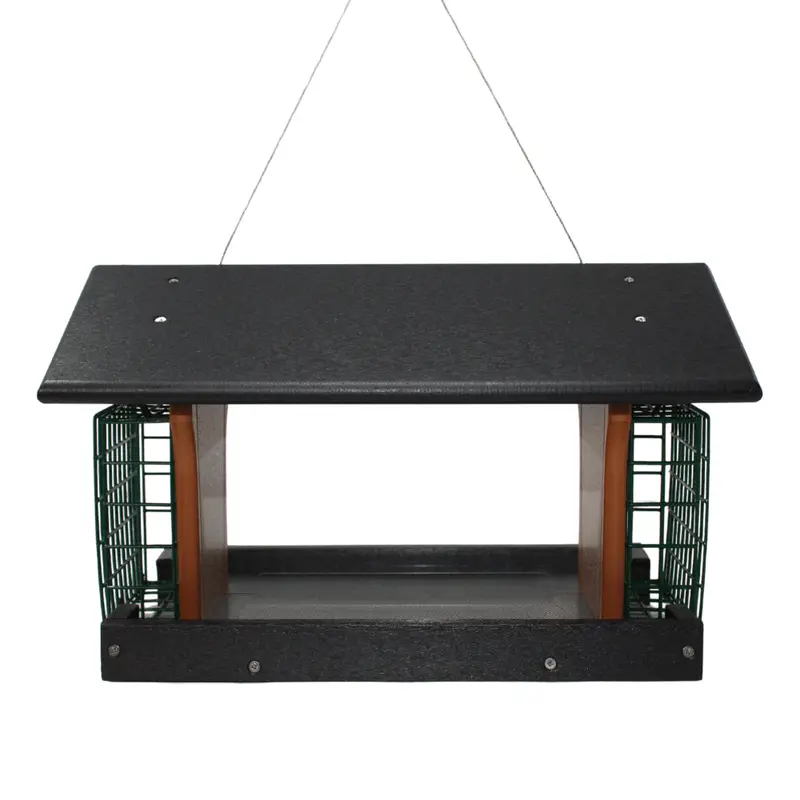 Dual-Chamber Suet and Seed Bird Feeder: Premium Wild Bird Attraction Station with Separate Compartments