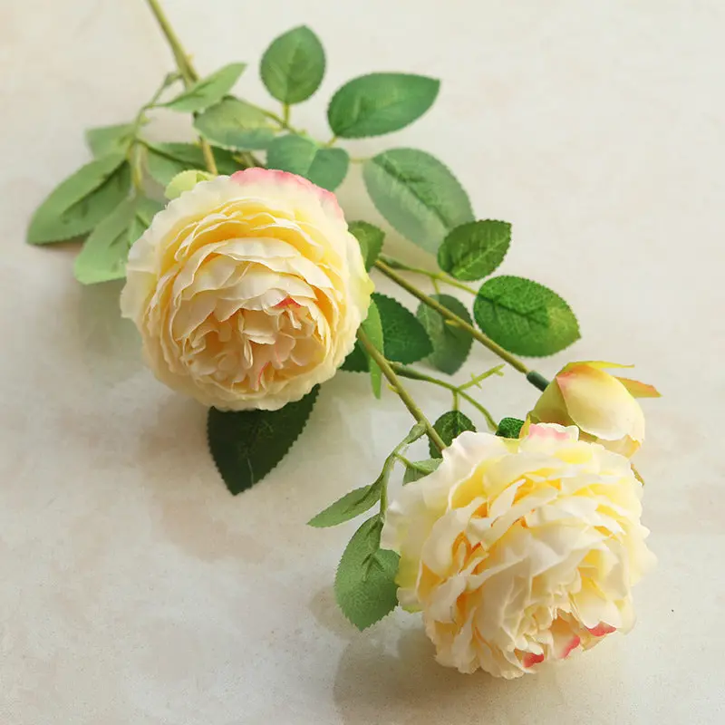 Elegant Silk Peony Arch Kit – Lifelike Wedding Backdrop & Studio Floral Display