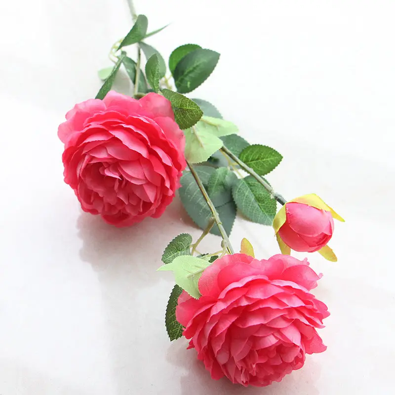 Elegant Silk Peony Arch Kit – Lifelike Wedding Backdrop & Studio Floral Display