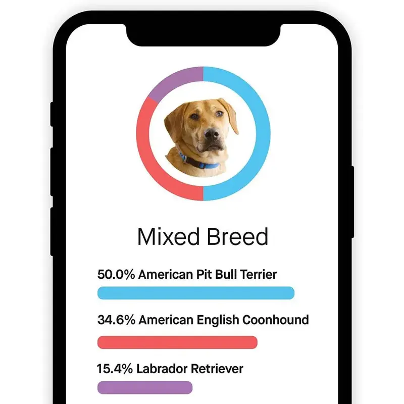 Embark Canine DNA Test — Comprehensive Breed, Ancestry, and Health Analysis Kit