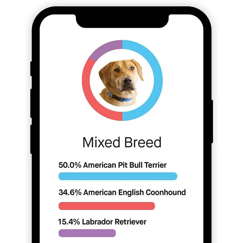 Embark Premium Dog DNA Test Kit – Accurate Breed Composition Analysis & Proactive Genetic Health Screening