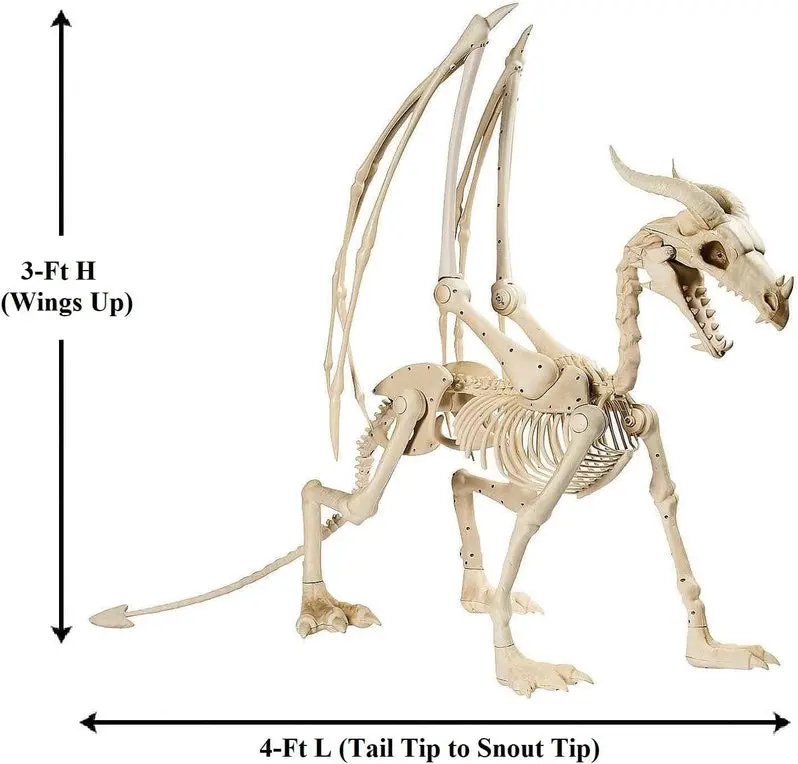 Life-Size 4-Foot Pterosaur Skeleton Replica – Realistic Halloween Spooktacular Decor