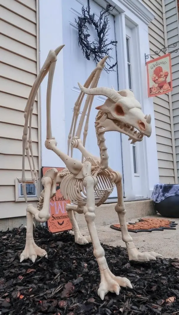 Life-Size 4-Foot Pterosaur Skeleton Replica – Realistic Halloween Spooktacular Decor