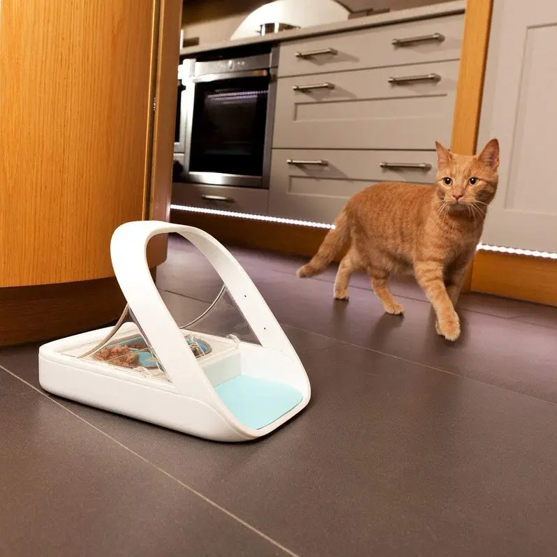 Microchip-Enabled Automatic Pet Feeder MPF001 | Dual-Compartment Dispenser for Wet and Dry Food | Includes Complimentary Absorbent Pet Towel