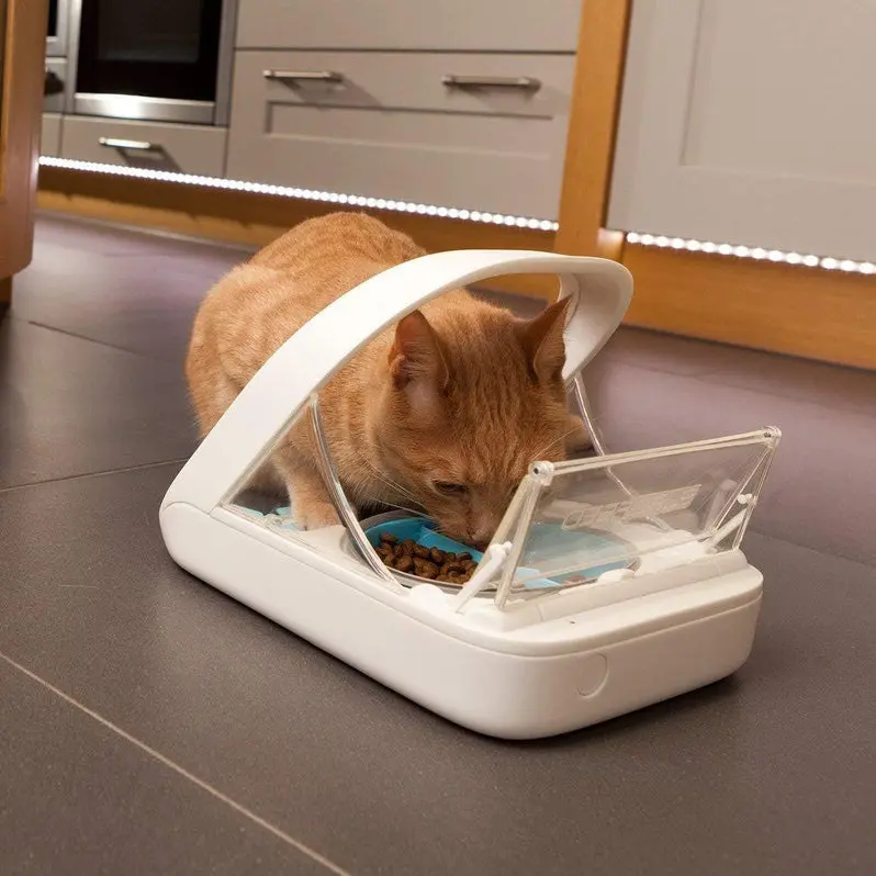 Microchip-Enabled Automatic Pet Feeder MPF001 | Dual-Compartment Dispenser for Wet and Dry Food | Includes Complimentary Absorbent Pet Towel