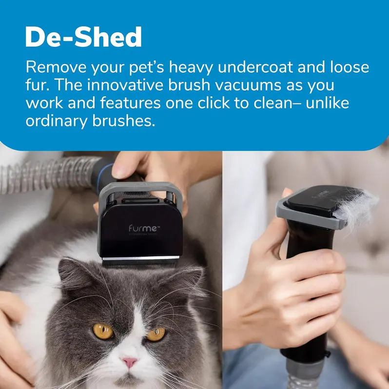 Professional Pet Hair Vacuum Kit – 2-Liter Canister System with 5 Specialty Attachments | Designed for All Coat Types on Dogs and Cats