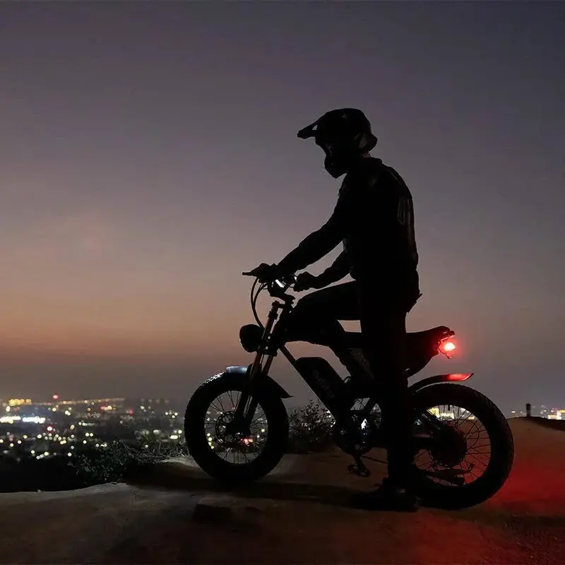 Q20PRO High-Performance E-Bike – 2000W Dual-Motor Electric Bicycle with 52V/40Ah Battery