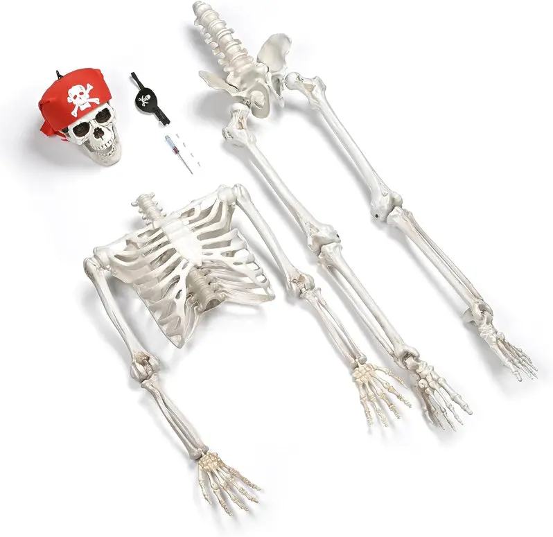 Realistic Resin Halloween Skull Decor – Lifelike Spooky Prop for Haunted Houses & Themed Displays