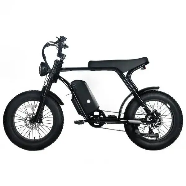 Shi Mano All-Terrain Fat-Tire E-Mountain Bike – 1000W Brushless Motor, 48V 20Ah Long-Range Battery, 45 MPH Top Speed
