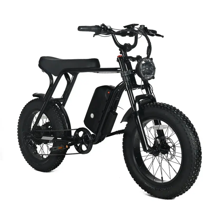 Shi Mano All-Terrain Fat-Tire E-Mountain Bike – 1000W Brushless Motor, 48V 20Ah Long-Range Battery, 45 MPH Top Speed