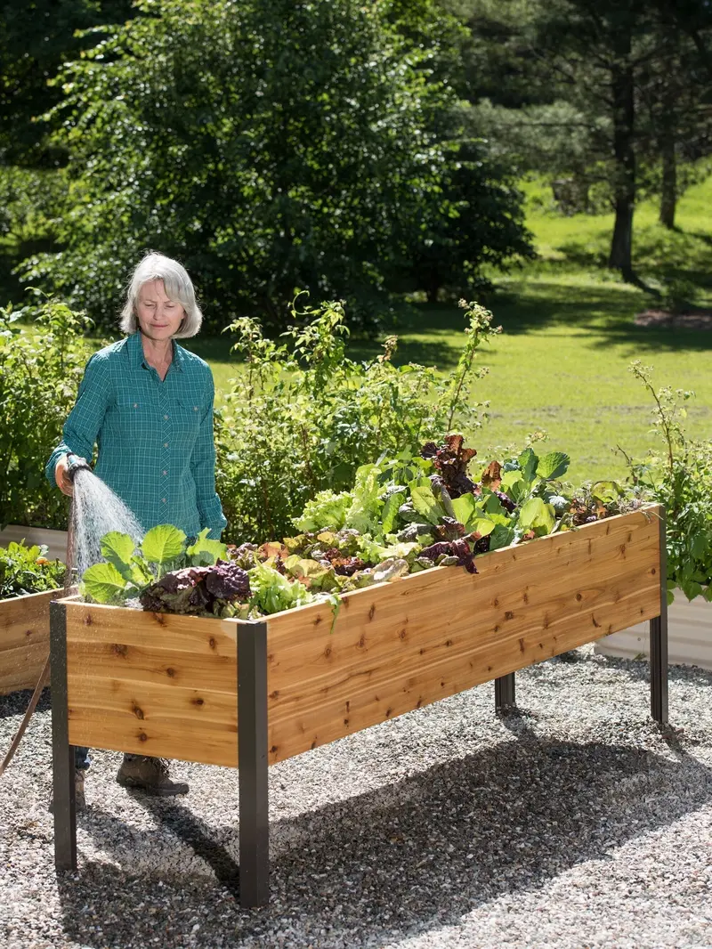 Sustainable Cedar Raised Garden Planter Box – Elevated Wooden Grow Bed for Outdoor Landscaping