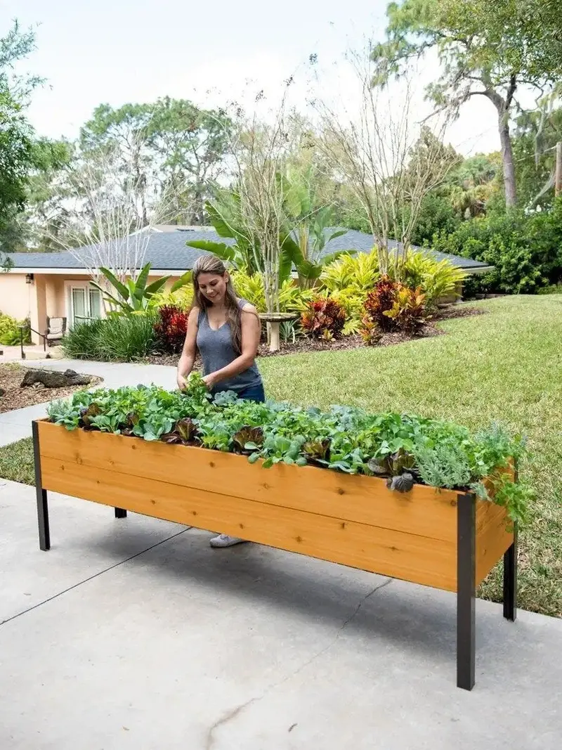 Sustainable Cedar Raised Garden Planter Box – Elevated Wooden Grow Bed for Outdoor Landscaping