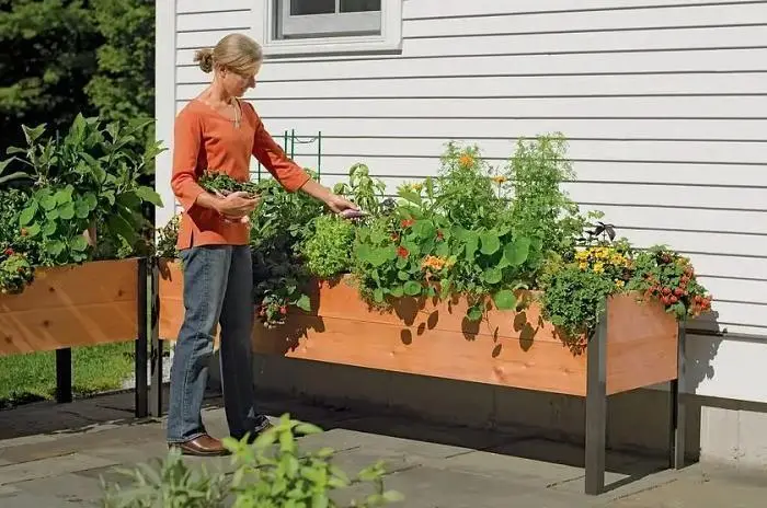 Sustainable Cedar Raised Garden Planter Box – Elevated Wooden Grow Bed for Outdoor Landscaping