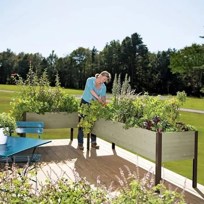 Sustainable Cedar Raised Garden Planter Box – Elevated Wooden Grow Bed for Outdoor Landscaping