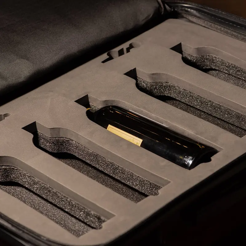 The Ten Wine Luggage – TSA-Approved Hard-Shell Spinner Suitcase Engineered to Safely Transport Up to 10 Bottles