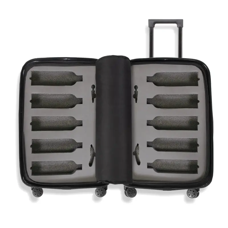 The Ten Wine Luggage – TSA-Approved Hard-Shell Spinner Suitcase Engineered to Safely Transport Up to 10 Bottles