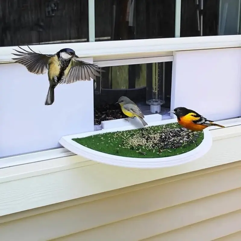 Transparent Acrylic Window-Mounted Bird Feeder: Suction-Cup Attached Indoor Viewing Feeder