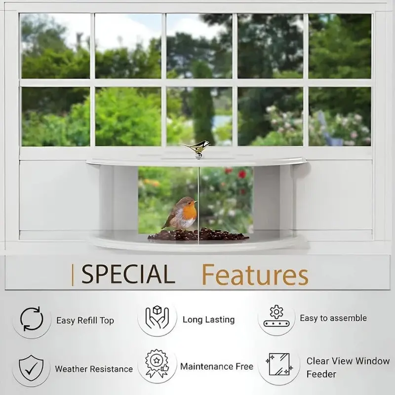 Transparent Acrylic Window-Mounted Bird Feeder: Suction-Cup Attached Indoor Viewing Feeder