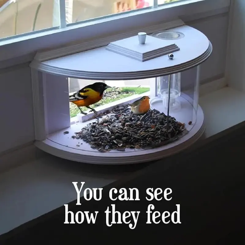 Transparent Acrylic Window-Mounted Bird Feeder: Suction-Cup Attached Indoor Viewing Feeder