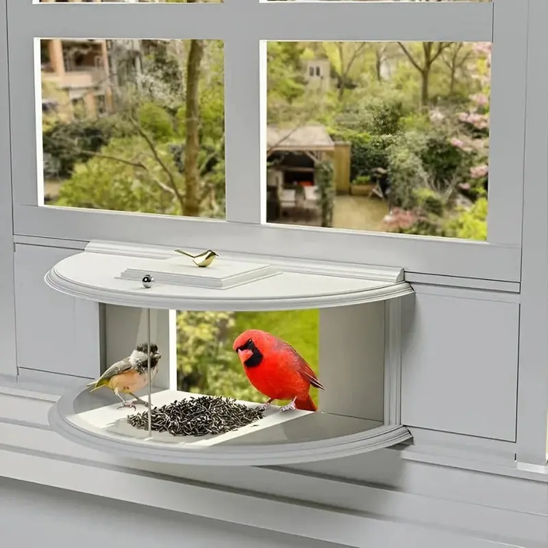 Transparent Acrylic Window-Mounted Bird Feeder: Suction-Cup Attached Indoor Viewing Feeder