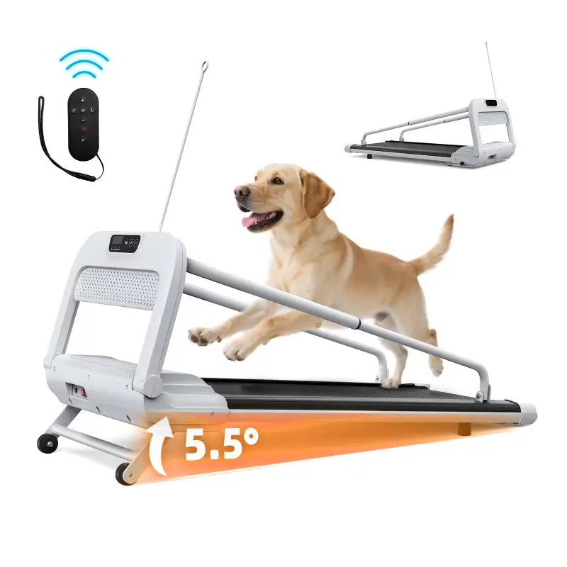 Witaxima 2025 Smart Pet Treadmill – Ultra-Quiet, Variable-Speed Running Machine for Small & Medium Dogs