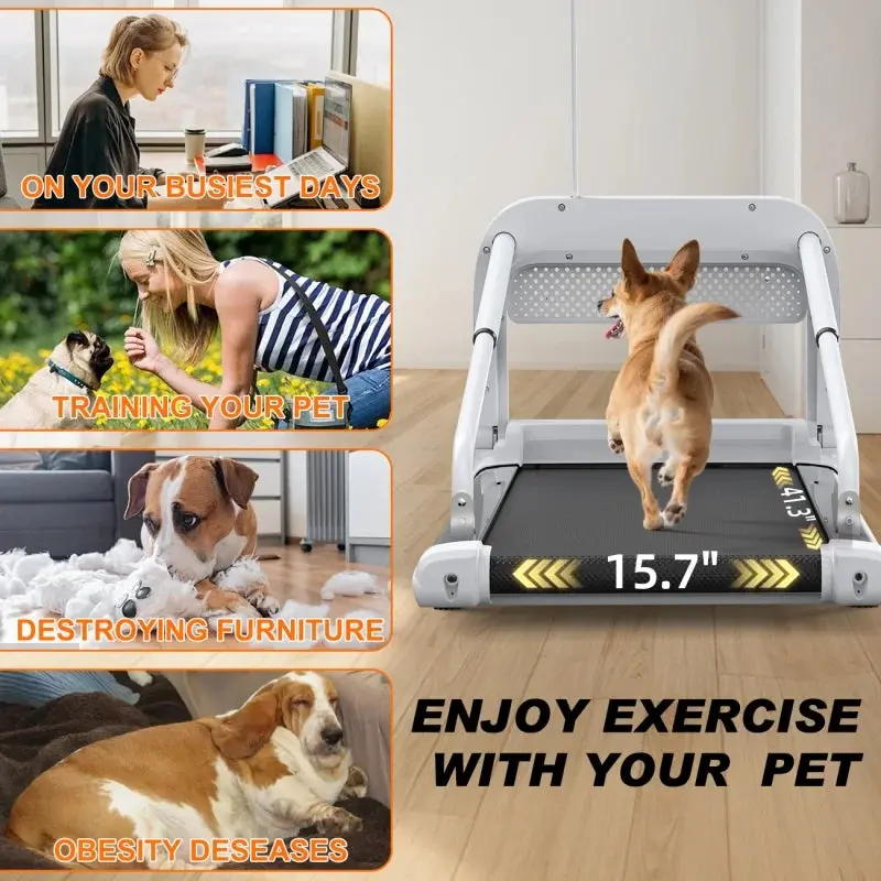 Witaxima 2025 Smart Pet Treadmill – Ultra-Quiet, Variable-Speed Running Machine for Small & Medium Dogs